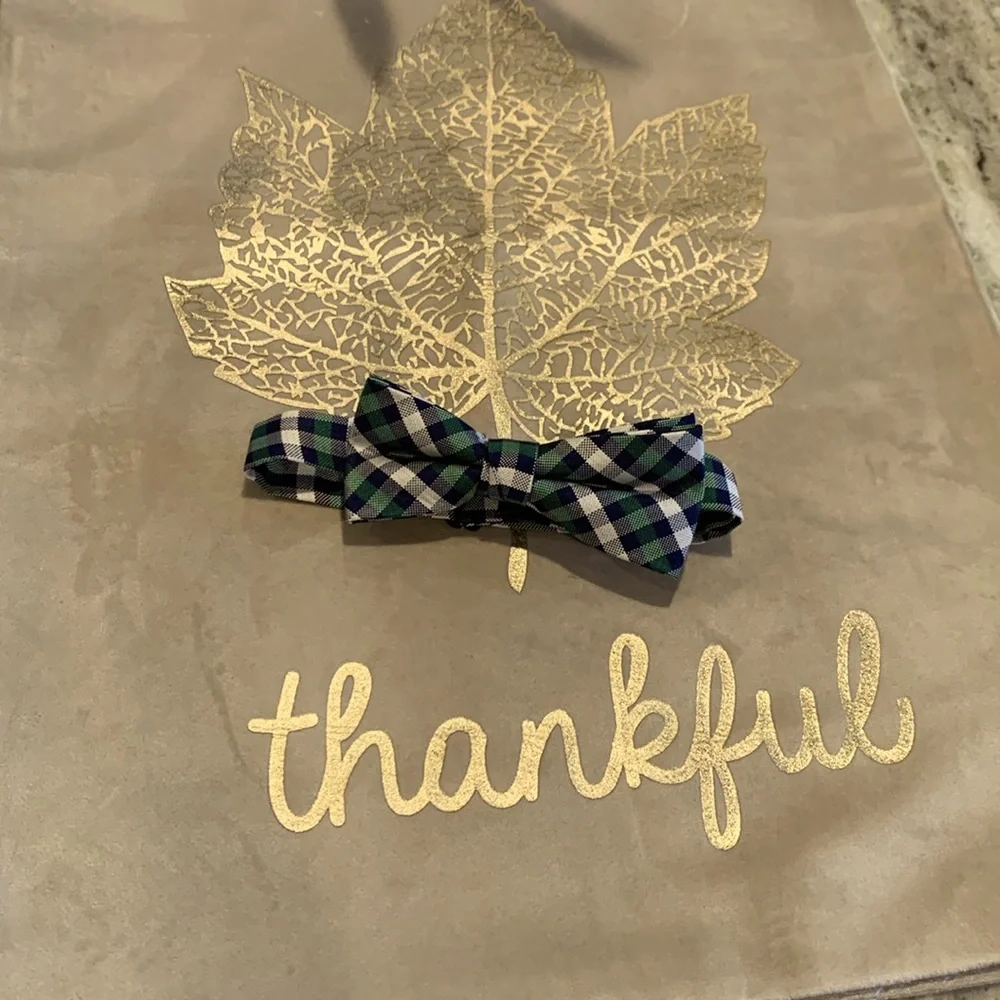 100% silk green plaid bowtie